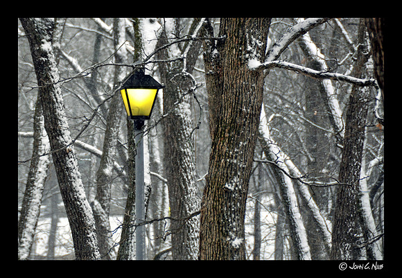 Yellow Light